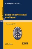 Equazioni differenziali non lineari (eBook, PDF)