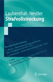 Strafvollstreckung (eBook, PDF)