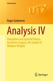 Analysis IV (eBook, PDF)
