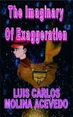 The Imaginary of Exaggeration (eBook, ePUB)