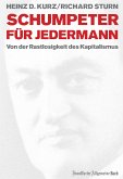 Schumpeter für jedermann (eBook, ePUB)