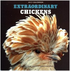 Extraordinary Chickens 2017 Wall Calendar - Green-Armytage, Stephen