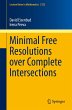 Minimal Free Resolutions over Complete... - Bild 1