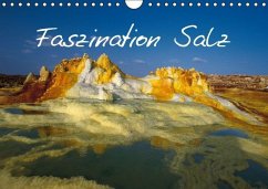 Faszination Salz (Wandkalender 2016 DIN A4 quer) - Lange, Fred