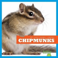 Chipmunks - Schuh, Mari C