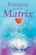 Emerging From the Matrix - Bild 1