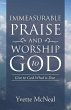 Immeasurable Praise and Worship to God - Bild 1