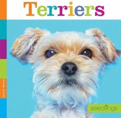 Terriers - Murray, Laura K.