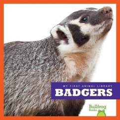 Badgers - Schuh, Mari C