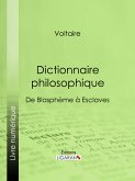 Dictionnaire philosophique (eBook, ePUB)