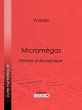 Micromégas (eBook, ePUB) - Bild 1