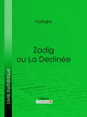 Zadig ou La Destinée (eBook, ePUB)