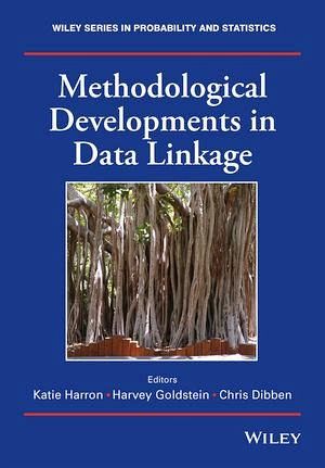 Methodological Developments in Data Linkage (eBook, ePUB)