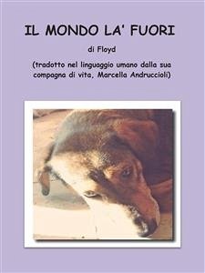 Il mondo là fuori (eBook, ePUB) - Floyd