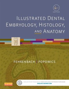 Illustrated Dental Embryology, Histology, and Anatomy - E-Book (eBook, ePUB) - Fehrenbach, Margaret J.; Popowics, Tracy