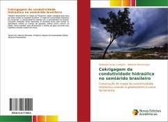 Cokrigagem da condutividade hidraúlica no semiárido brasileiro