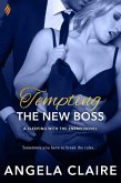 Tempting the New Boss (eBook, ePUB)