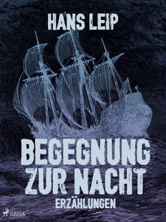 Begegnung zur Nacht (eBook, ePUB) - Leip, Hans