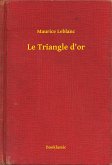 Le Triangle d'or (eBook, ePUB)