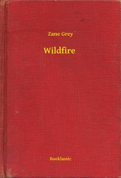 Cover Wildfire (eBook, ePUB)