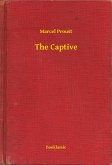 The Captive (eBook, ePUB)