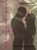 Fantastische Liebe (eBook, ePUB)