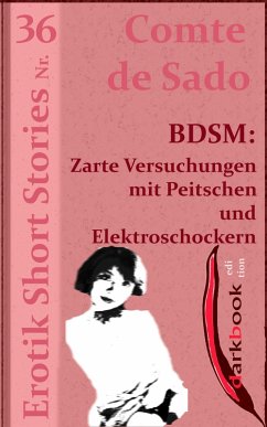 Cover BDSM: Zarte Versuchungen mit Peitschen und Elektroschockern (eBook, ePUB)