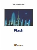 Flash (eBook, PDF)