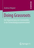Doing Grassroots (eBook, PDF)