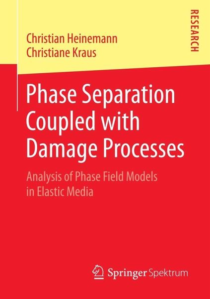 Phase Separation Coupled with Damage Processes (eBook, PDF)
