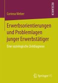 Erwerbsorientierungen und Problemlagen junger Erwerbstätiger (eBook, PDF)