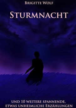 Sturmnacht (eBook, ePUB)