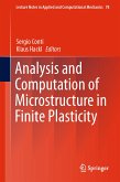 Analysis and Computation of Microstructure in Finite Plasticity (eBook, PDF)
