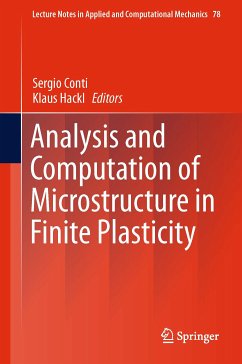 Analysis and Computation of Microstructure in Finite Plasticity (eBook, PDF)