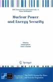 Nuclear Power and Energy Security (eBook, PDF)