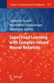 Supervised Learning with Complex-valued Neural Networks (eBook, PDF)