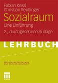 Sozialraum (eBook, PDF)