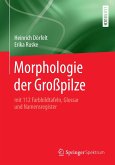 Morphologie der Großpilze (eBook, PDF)