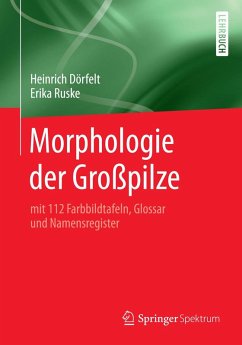 Morphologie der Großpilze (eBook, PDF) - Dörfelt, Heinrich; Ruske, Erika