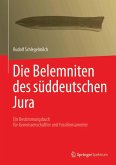 Die Belemniten des süddeutschen Jura (eBook, PDF)