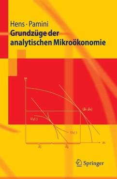Cover Grundzüge der analytischen Mikroökonomie (eBook, PDF)
