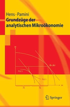 Grundzüge der analytischen Mikroökonomie (eBook, PDF) - Hens, Thorsten; Pamini, Paolo