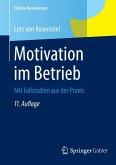 Motivation im Betrieb (eBook, PDF)