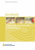 Stiftungskooperationen in Deutschland (eBook, ePUB)
