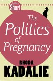 Tafelberg Short: The Politics of Pregnancy (eBook, ePUB)