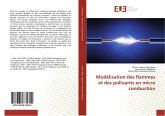 Modélisation des flammes et des polluants en micro combustion Modélisation des flammes et des polluants en micro combustion