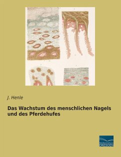 Das Wachstum des menschlichen Nagels und des Pferdehufes - Henle, J.