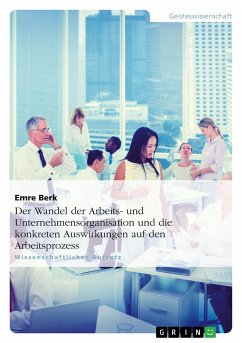 Der Wandel der Arbeits- und Unternehmensorganisation und die konkreten Auswirkungen auf den Arbeitsprozess - Berk, Emre