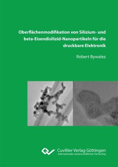 Oberflächenmodifikation von Silizium¿ und beta¿Eisendisilizid¿Nanopartikeln für die druckbare Elektronik - Bywalez, Robert