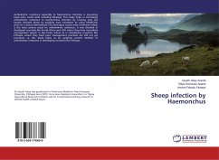 Sheep infection by Haemonchus